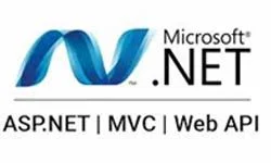 microsoft-net-amer-salem